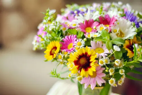 Quali sono le tendenze di design d'interni che vedremo nel 2022?