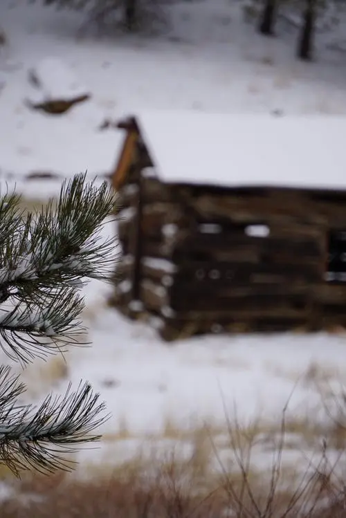 Un box casetta in legno per il giardino