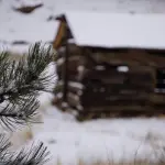 Un box casetta in legno per il giardino